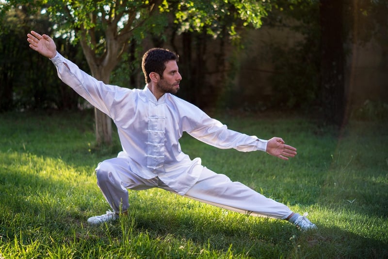 Tai Chi Martial Arts